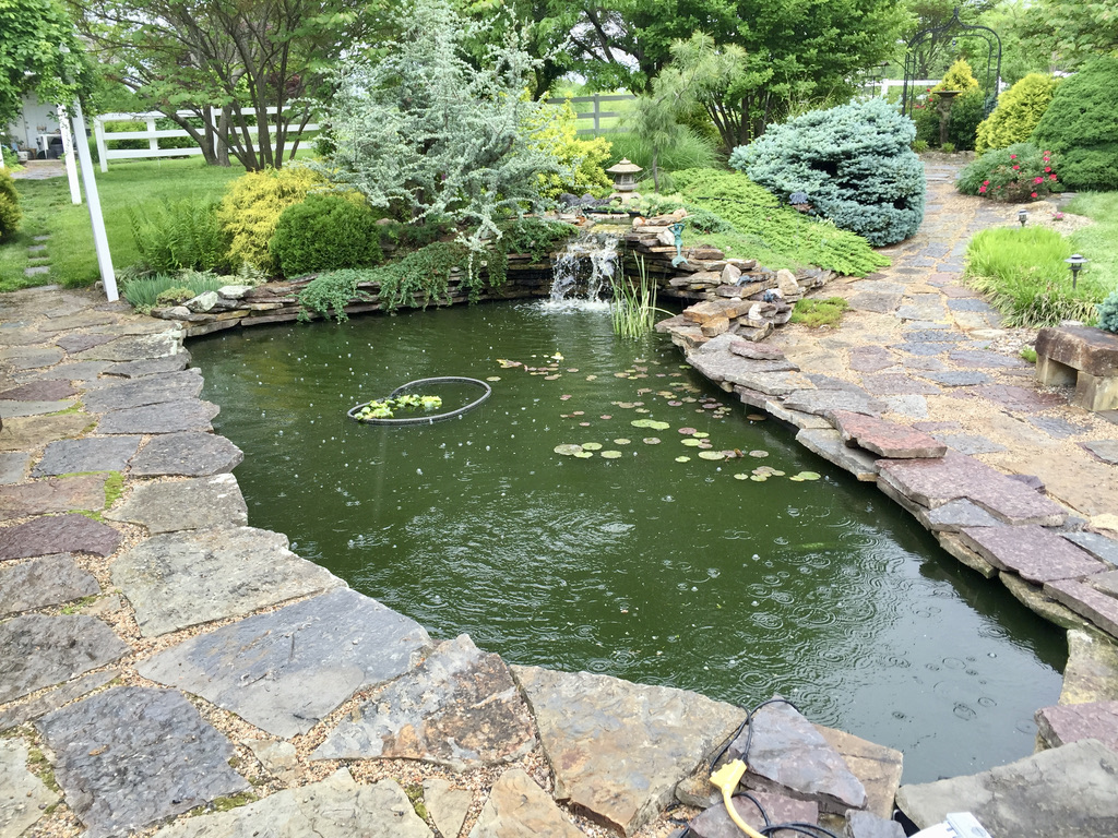 pond design build kansas city