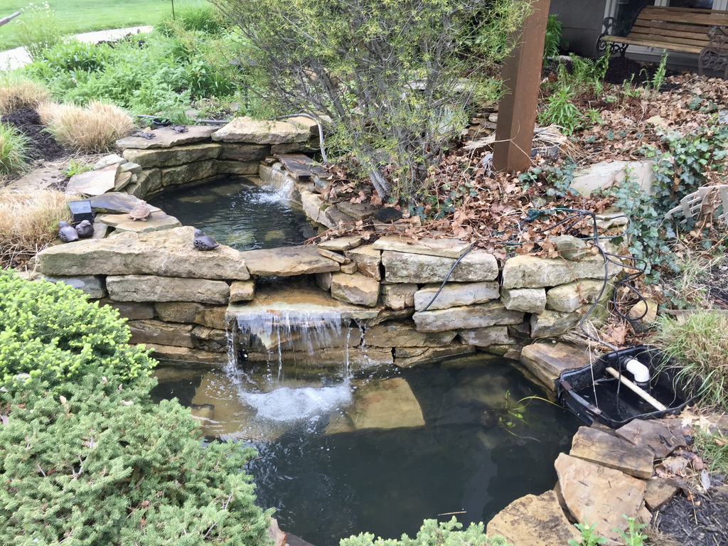 Pond Netting Ideas?