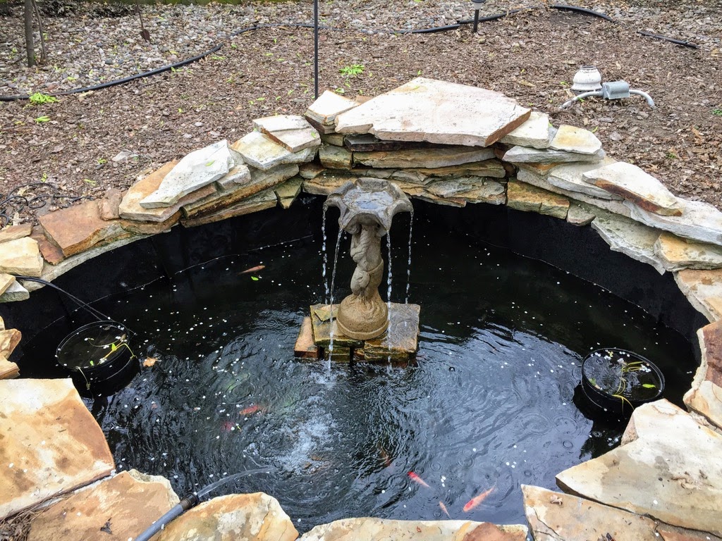 pond leak maintenance kc