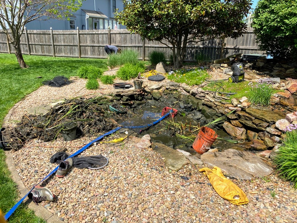 pond cleaning services